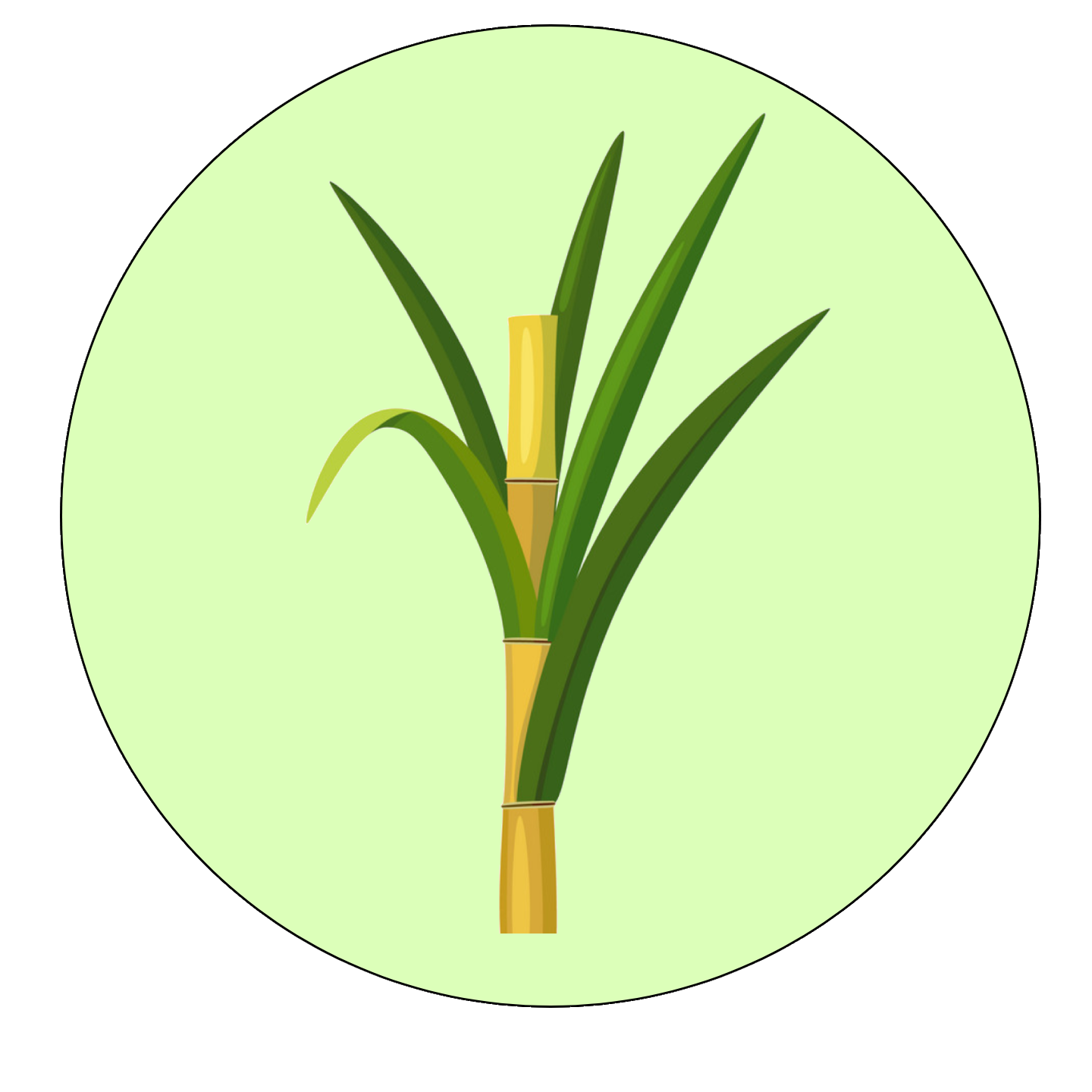 Sugarcane Icon